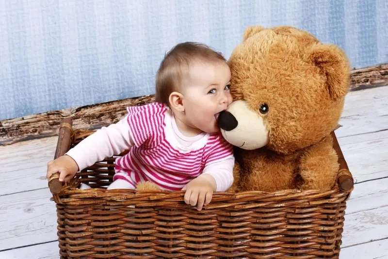 little-child-teddy-bear-sitting-basket-studio-portrait-42620833-transformed